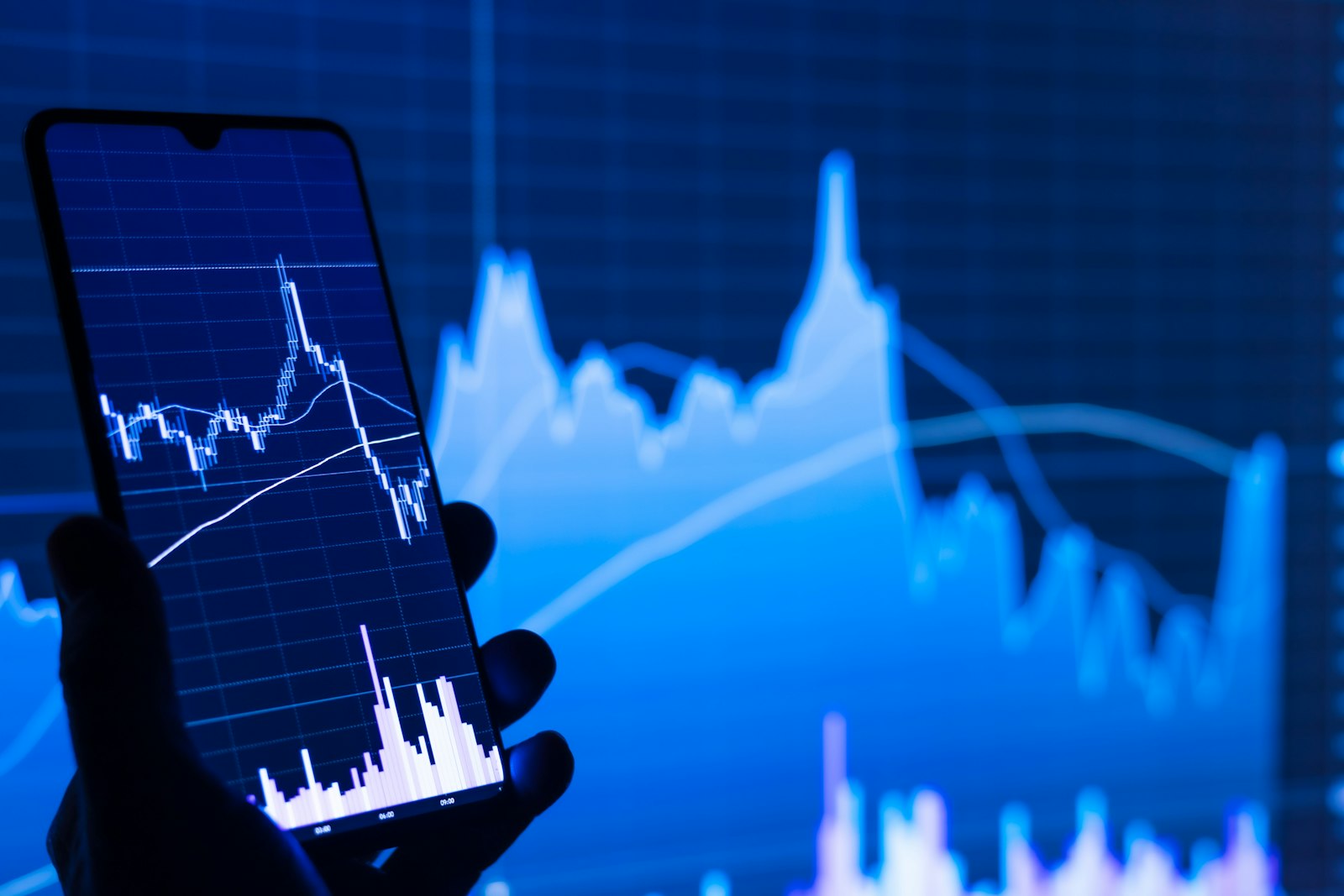 Crypto market capitalisation chart on a screen